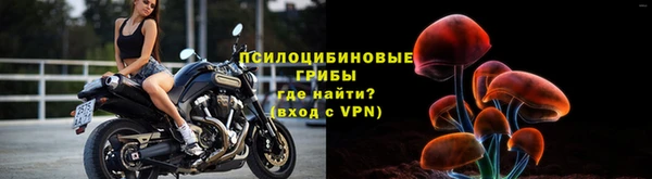 2c-b Богородицк