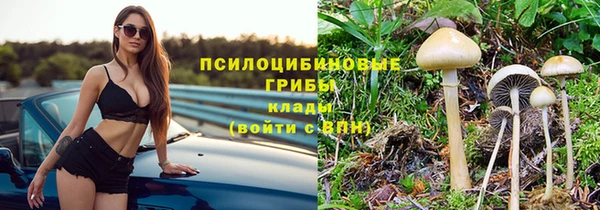 таблы Богданович